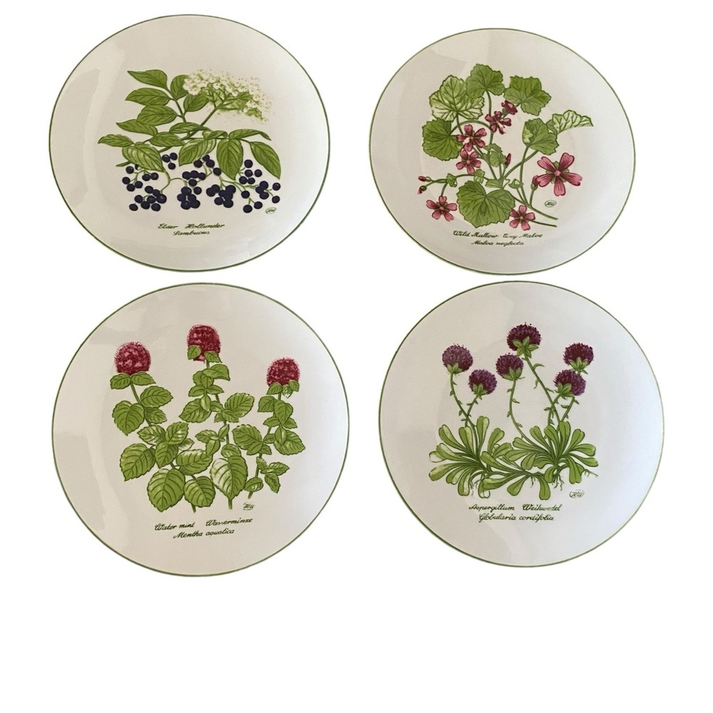 Bareuther Waldsassen Bavaria Botanic Flower berries 142 Salad Plates green trim